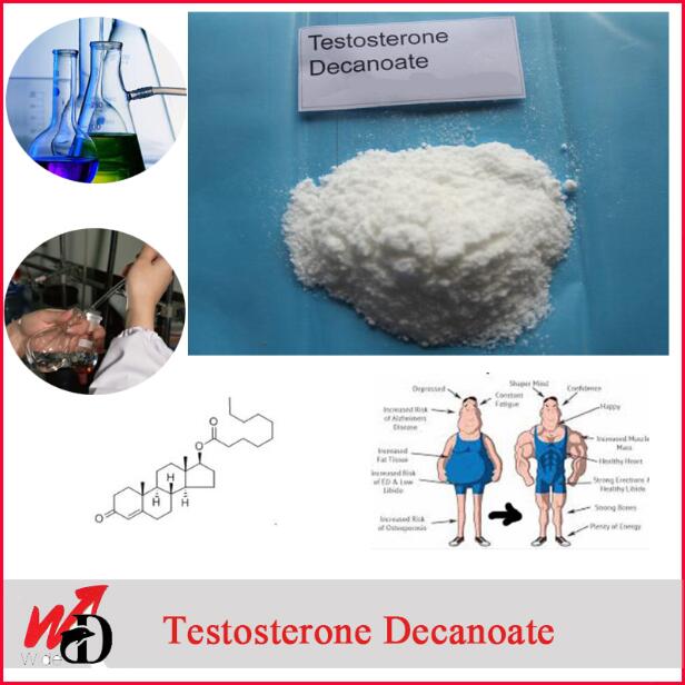 CAS： 5721-91-5 Testosterone Steroid Hormone Testosterone Decanoate/Test Deca to Gain Muscle 