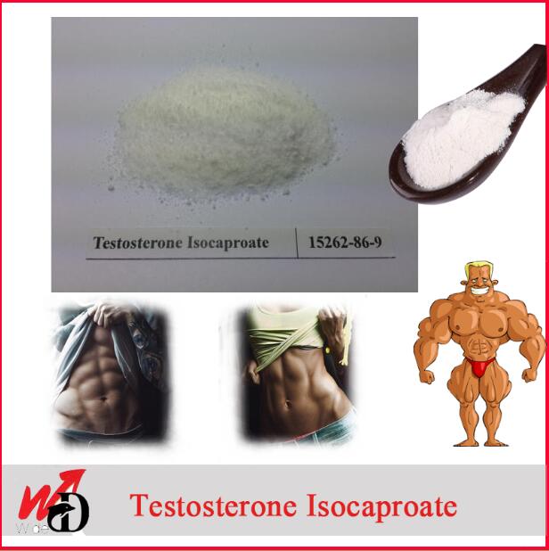 Health and Fitness Steroid Powders Testosterone Isocaproate (15262-86-9) 