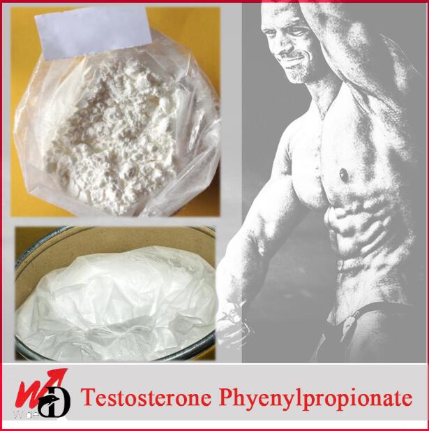 (CAS No: 1255-49-8) Healthy and Effectual Steroid Powder Testosterone Phenylpropionate 