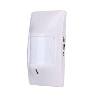 PIR Motion Detector