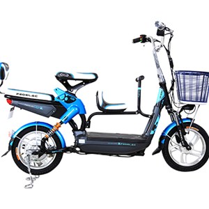 14 Inches 240W 48V 10AH Family Household Lead-acid Battery Electric Motorbikes