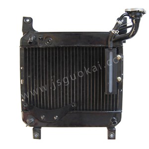 GK Foton 1F113011 Radiator