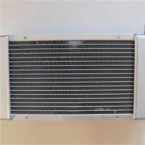 GK Foton 1F111011 Radiator