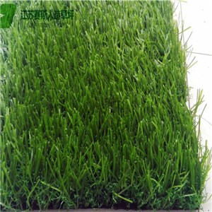 Spine Shape Landscaping Grass