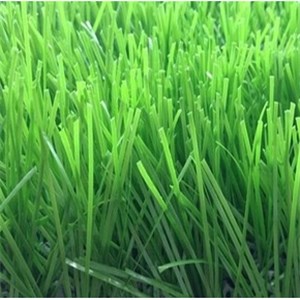 Spine Shape Football Grass