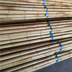 Moso Bamboo Poles