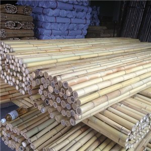 Natural Bamboo Fence