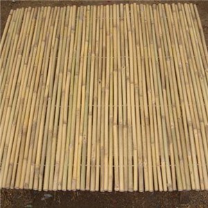 Tonkin Bamboo Fence