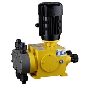 Double Heads Diaphragm Metering Pumps