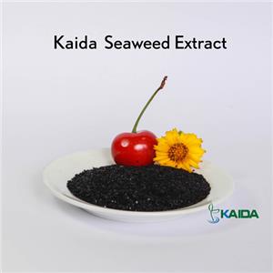100% Water Soluble Pure Seaweed Extract Shiny Flakes Fertilizer In Plant