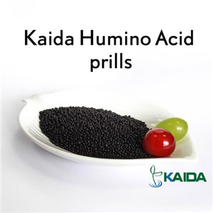 Slow Release Leonardite Organic Source Humic Acid Fertilizer 55% Prill