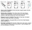 Physical Cold Laser Therapy Device , 3 - 5 cm Penetration Laser Therapy Machine