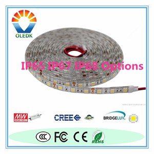 Waterproof LED Strip Lights