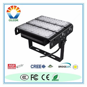 Module LED Flood Light