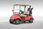 2 Seater Lifted Small Electric Golf Carts With Light / Speed Control For Golf Courses
