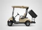 Custom 48V 3 KW Street Legal Electric Utility Vehicle With 2 Seater Heavy Duty