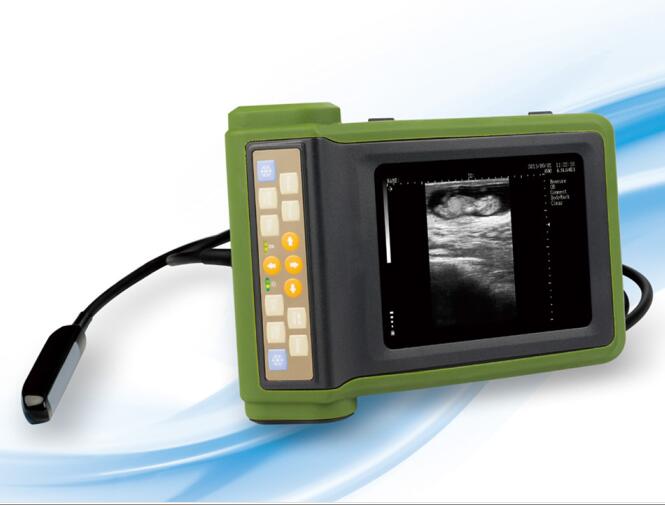 HP-Uc 100V Vet B Mode Ultrasound Scanner