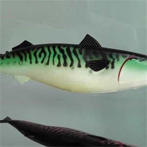 Plastic Mackerel Lure