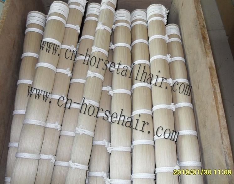 violin bow hair ,white horse tail hair factory
