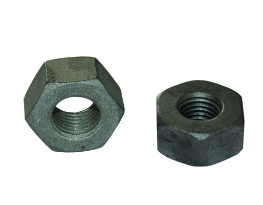 Hex Nut