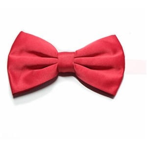 Fashion Stain Bow Tie