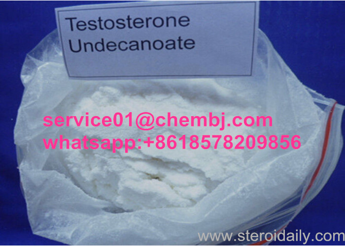 Hot Selling Muscle Growth Anabolic Hormone Powder Testosterone Undecanoate