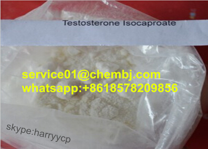 Best Price and High Quality Testosterone Isocaproate CAS 15262-86-9