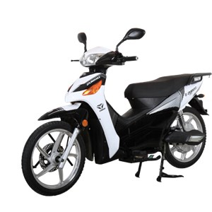 Qishi Straddle Type Electric Scooter