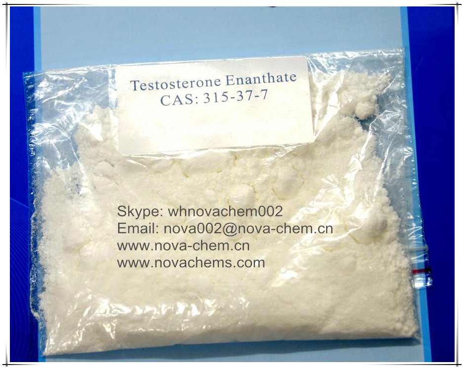 Testosterone Enanthate Powder Rapidly Get Muscle Gains