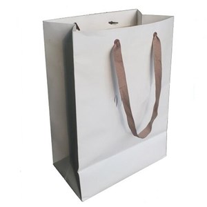 Fancy Paper Shopping Bag