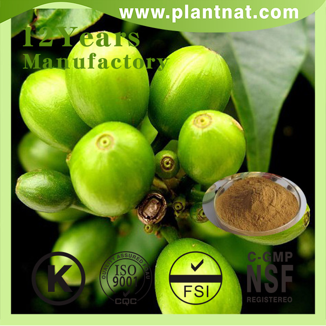 Green Coffee Bean Extract Chlorogenic Acid 50%
