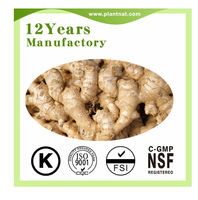 Gingerols 5% / Gingerols 10%Ginger Extract