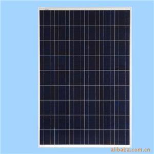 POLY Solar Panel 220W