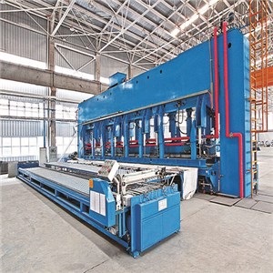 Rubber Dam Vulcanizing Press