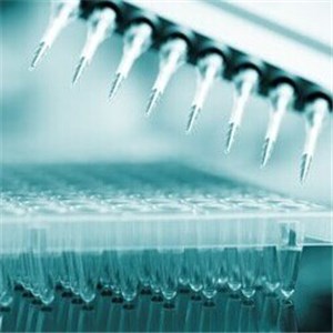 Recombinant Murine Interleukin-6