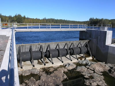 Shield type rubber dam