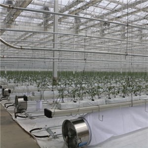 Hydroponic Greenhouse