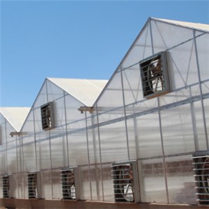 Large Ridge Greenhouse