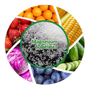 MgSO4.7H2O Price Of Magnesium Sulphate