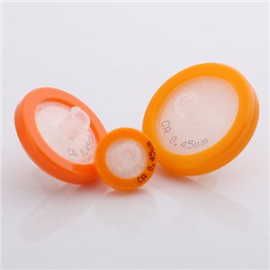 Syringe Filter CA