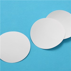 PES Membrane Filter
