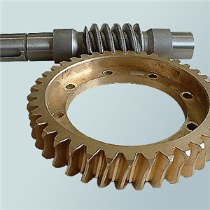 Worm Gear Set