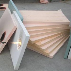 PE Sandwich Panel