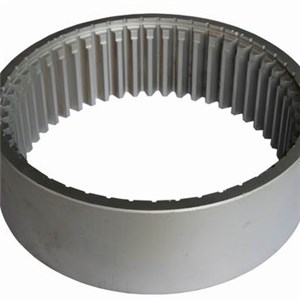 Truck Crane Axle Gear Ring