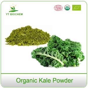 Freeze Dried Whole Foods Superfood Raw Organic Kale Juice Powder