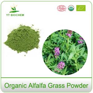 Non-gmo Gluten Free Organic Alfalfa Powder