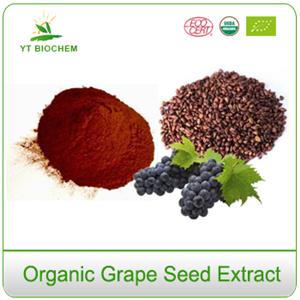 Best Natural Organic Grape Seed Extract Powder