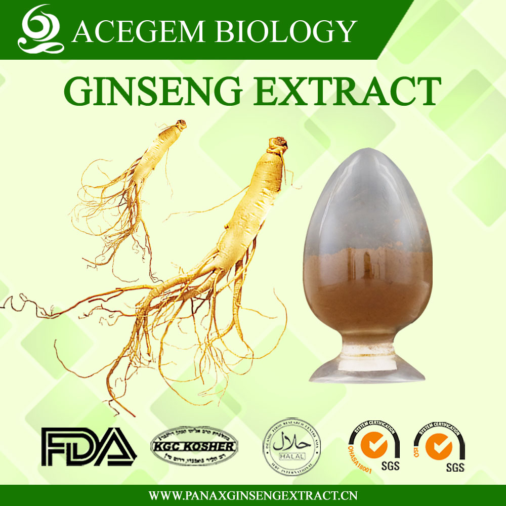 EC396 Standard Panax Ginseng Root Extract,1%-20% HPLC 