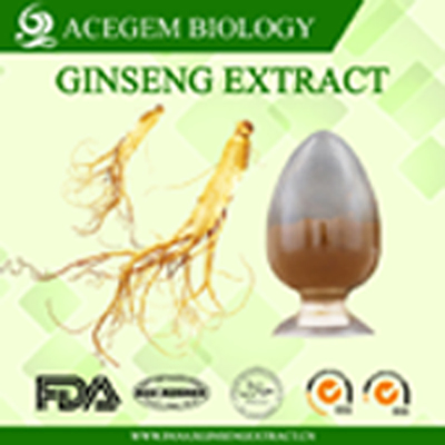 EC396 Standard Ginseng Extract,1%-20% HPLC