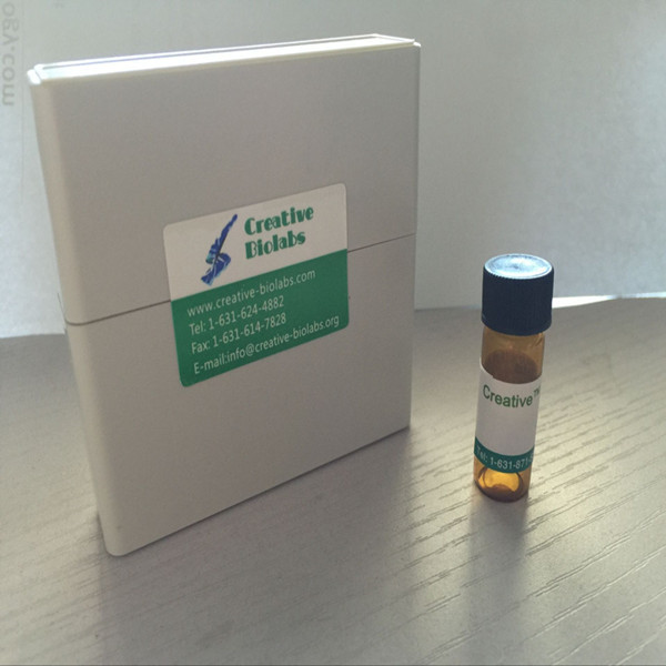 Anti-K88 fimbrial protein AC VHH Single Domain Antibody